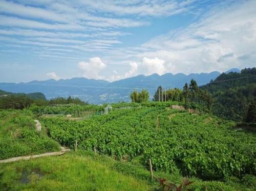 PT��Ѷ��(�й���)�ٷ���վ